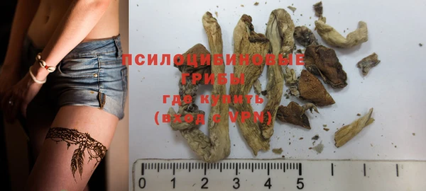 PSILOCYBIN Алексеевка