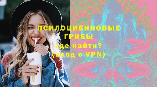 PSILOCYBIN Алексеевка
