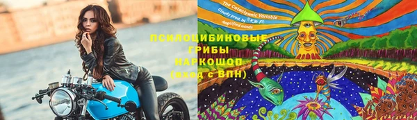PSILOCYBIN Алексеевка