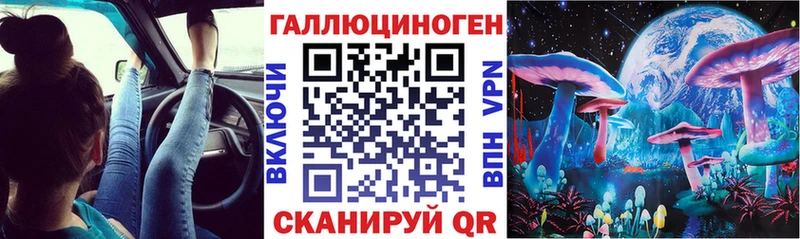 omg зеркало  Шацк  Галлюциногенные грибы мицелий  даркнет сайт 