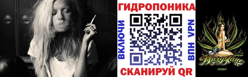 Бошки Шишки семена Шацк